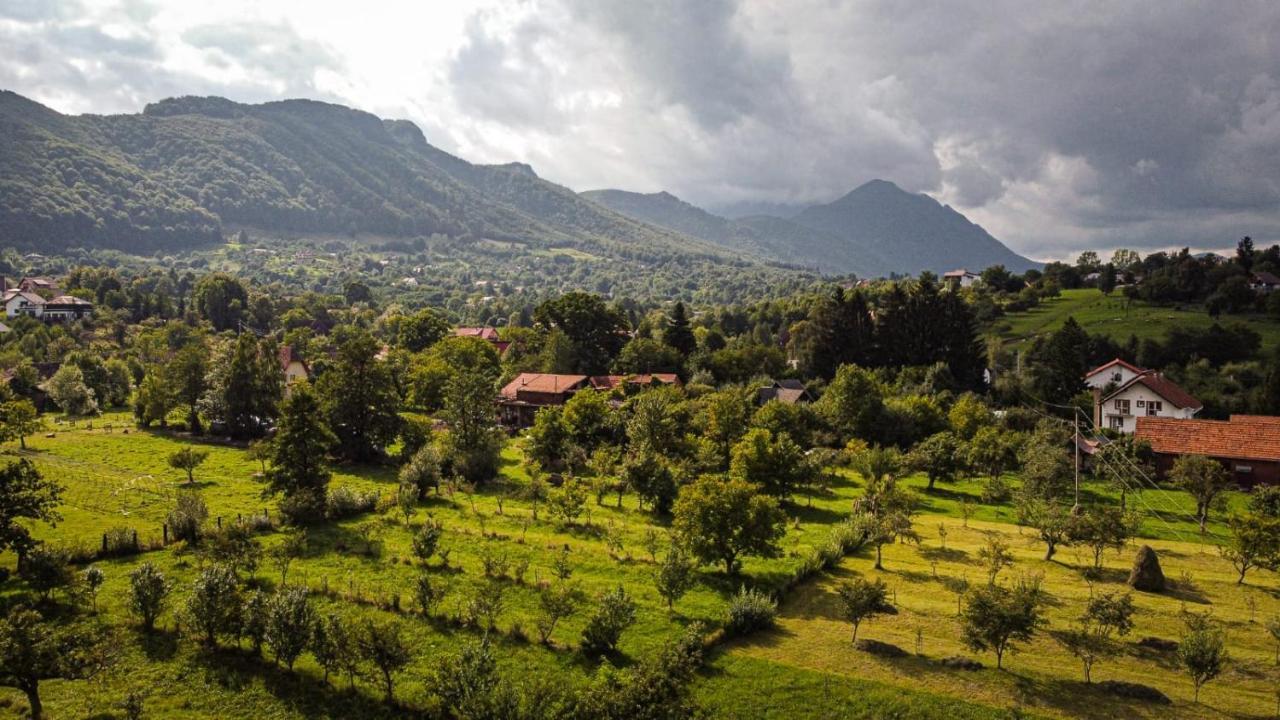 Serena Guesthouse Bran Törcsvár Kültér fotó