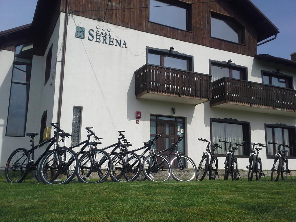 Serena Guesthouse Bran Törcsvár Kültér fotó