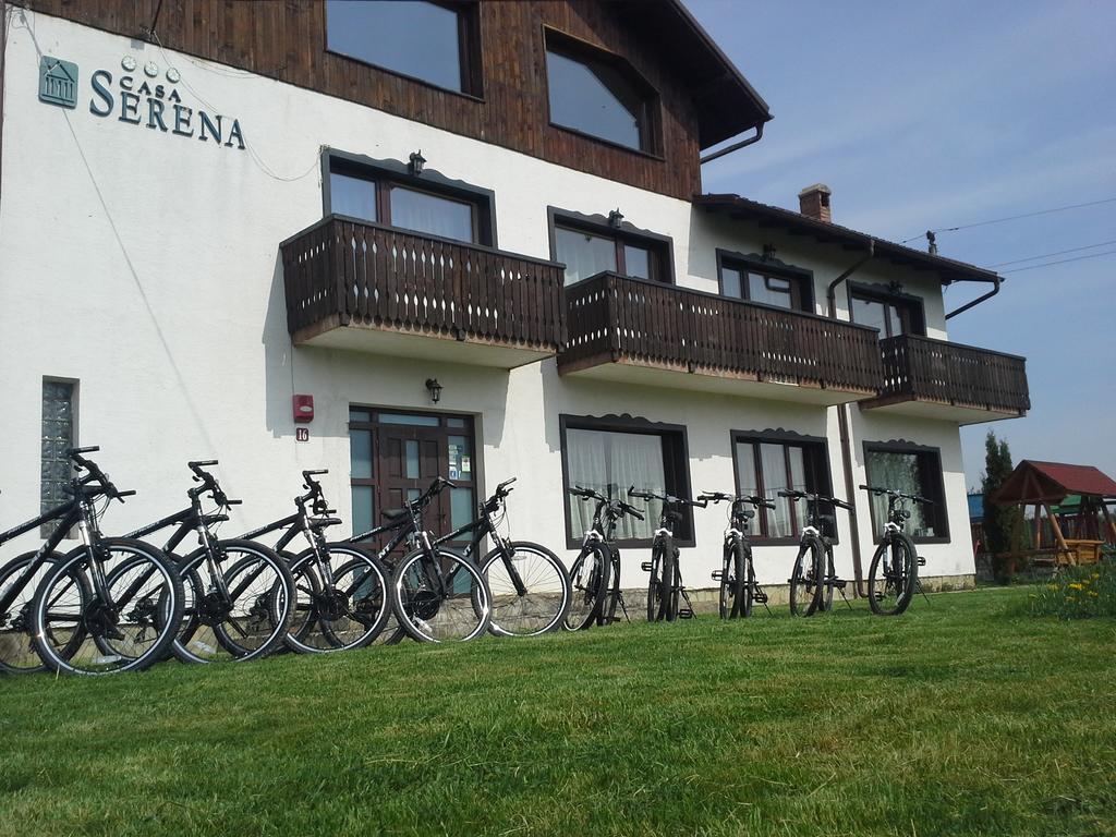 Serena Guesthouse Bran Törcsvár Kültér fotó