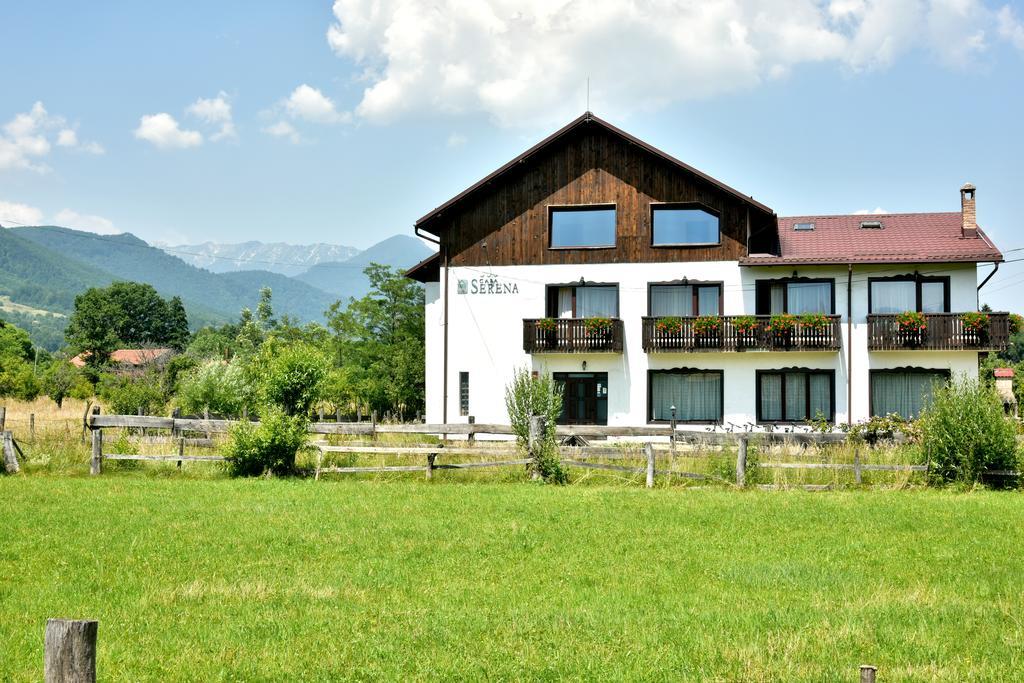 Serena Guesthouse Bran Törcsvár Kültér fotó