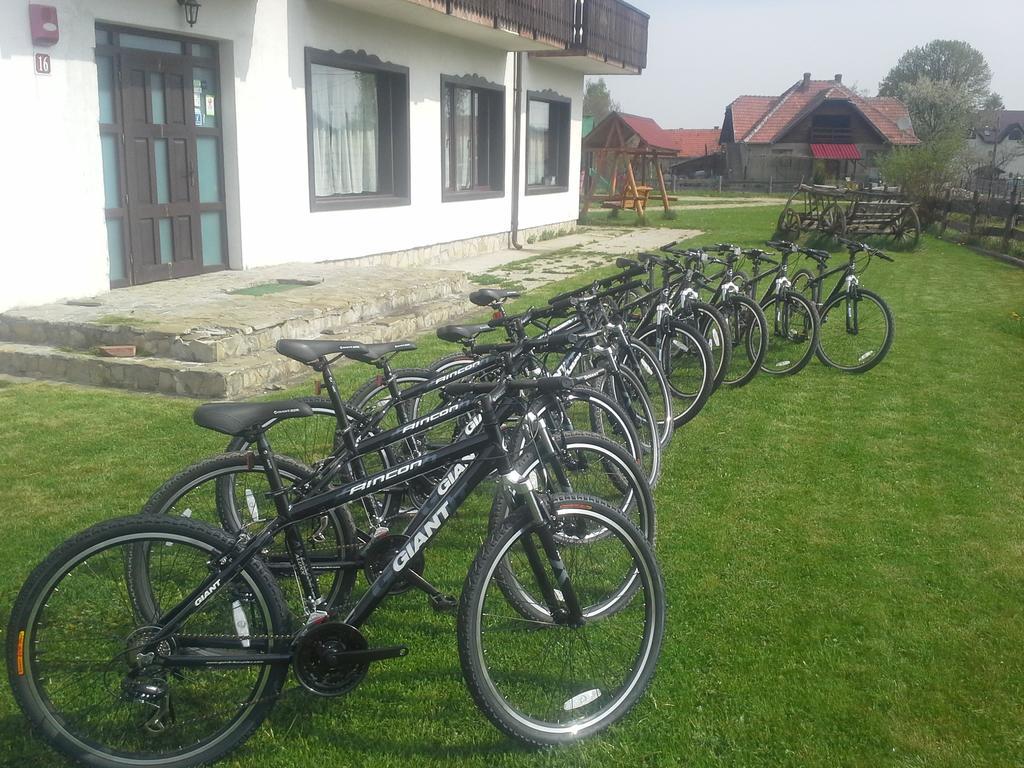 Serena Guesthouse Bran Törcsvár Kültér fotó