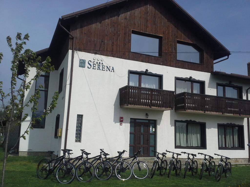 Serena Guesthouse Bran Törcsvár Kültér fotó