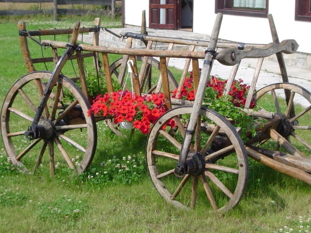 Serena Guesthouse Bran Törcsvár Kültér fotó