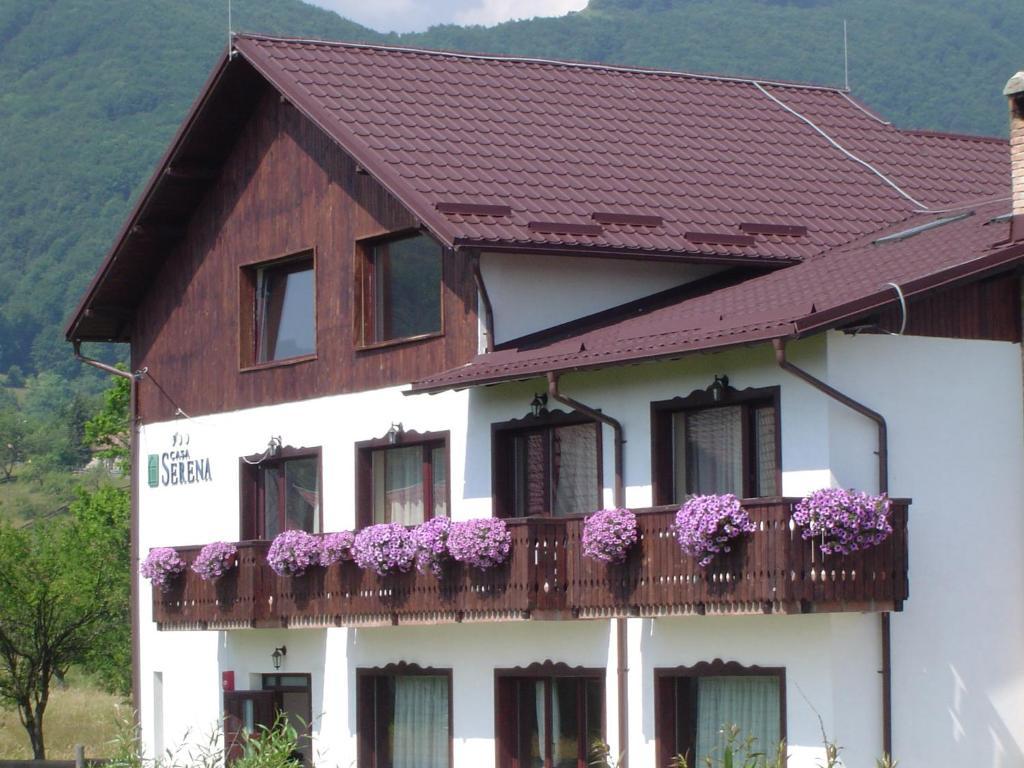 Serena Guesthouse Bran Törcsvár Kültér fotó